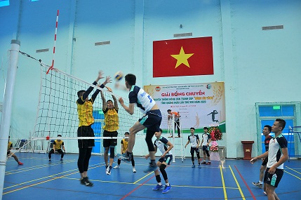 Giải bóng chuyền Truyền thống Nông dân tranh cúp Bông lúa vàng lần thứ XVII - 2020