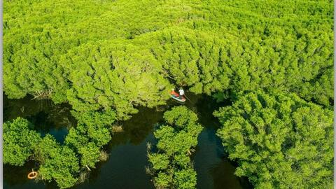 Các điểm, khu du lịch Quảng Ngãi sẵn sàng đón khách dịp Tết