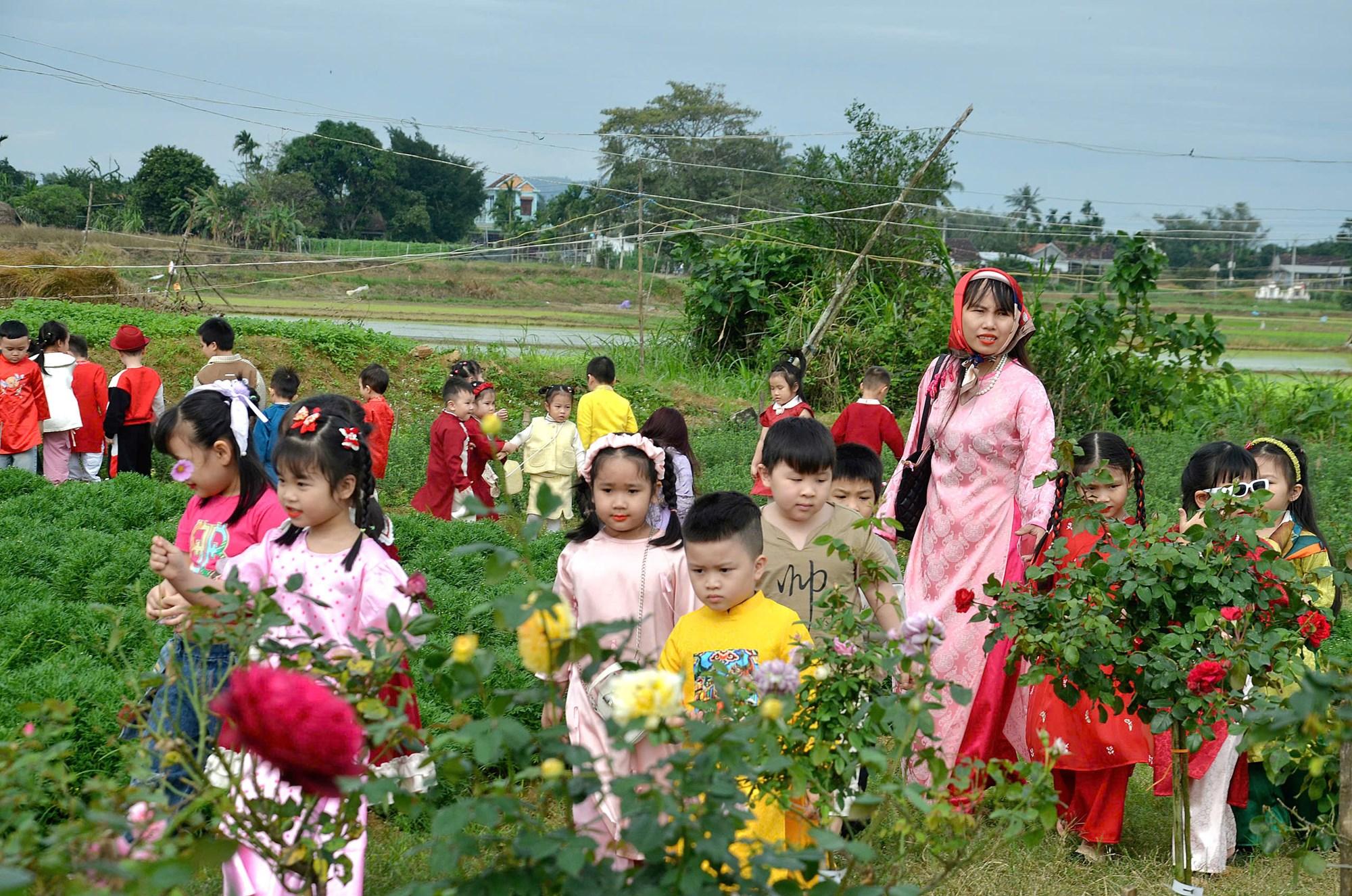 Cánh đồng hoa Nghĩa Hà sẵn sàng đón khách du Xuân - ảnh 8